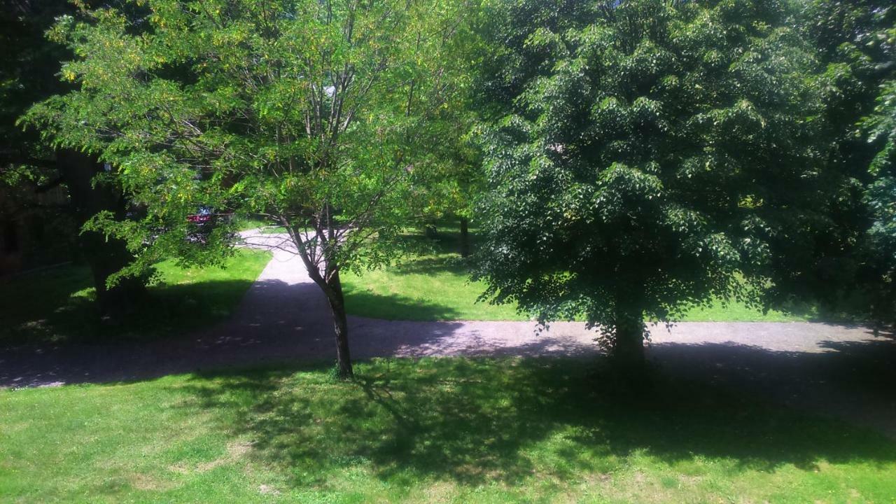 Appartement T2 Jardins De Ramel Bagnères-de-Luchon エクステリア 写真